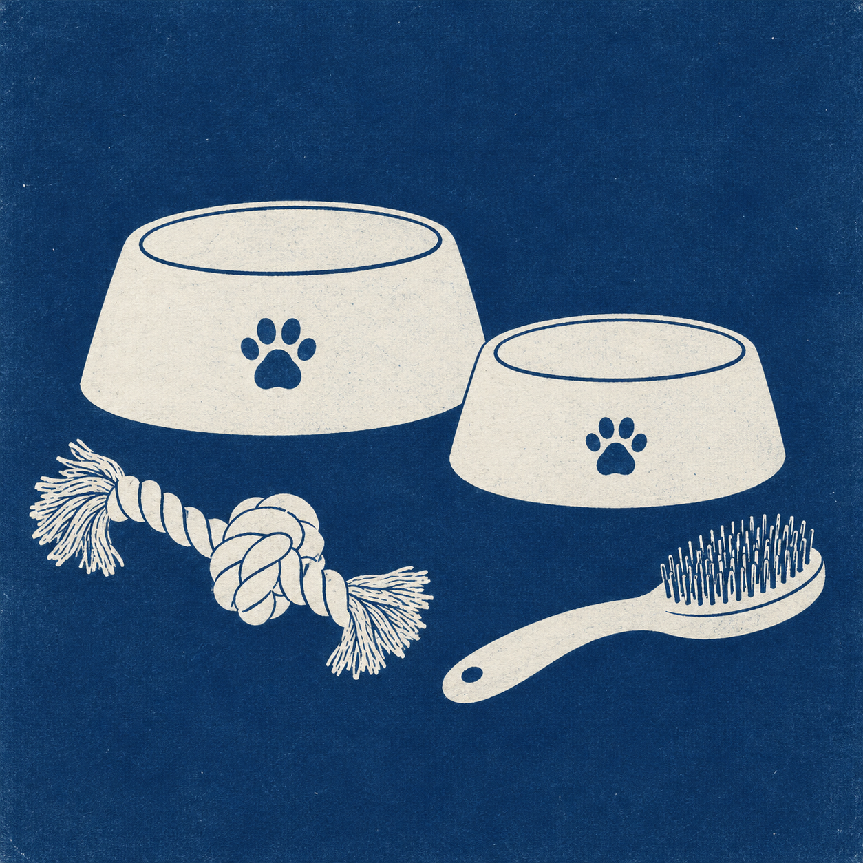 Illustration of pet grooming business: ceramic water bowls, rounded storage cabinets, clean grooming brushes